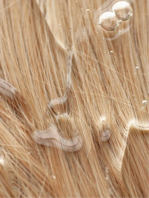 Gloss Shampoo | Smoky Green Vetiver